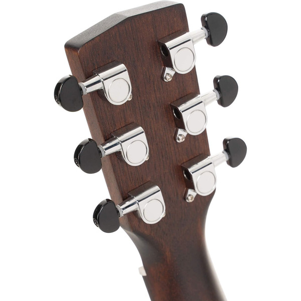 Гитара акустическая Cort Earth-GO-OPBB