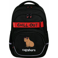 Рюкзак BRAUBERG Calm capy 272032