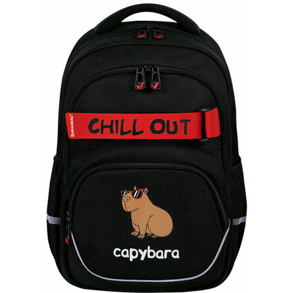 Рюкзак BRAUBERG Calm capy 272032