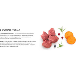 Сухой корм для собак Grandorf Adult Mini Breeds Fresh Lamb&Sweet Potato (3кг)