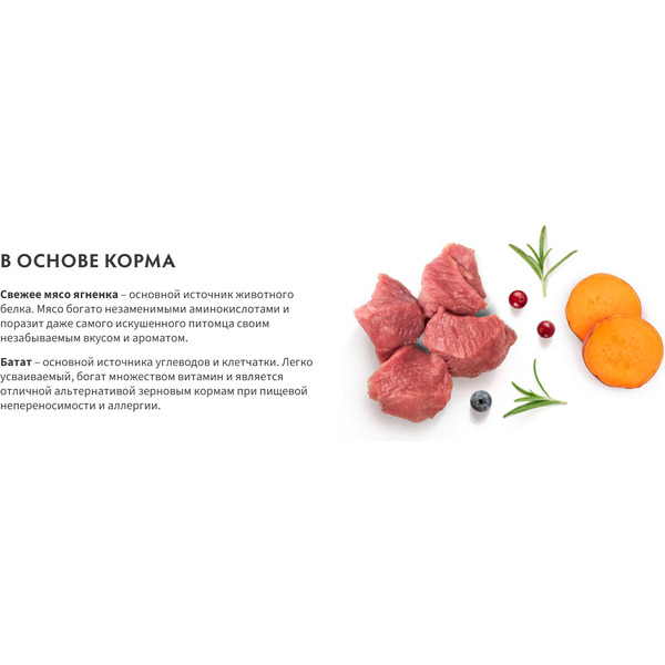 Сухой корм для собак Grandorf Adult Mini Breeds Fresh Lamb&Sweet Potato (3кг)