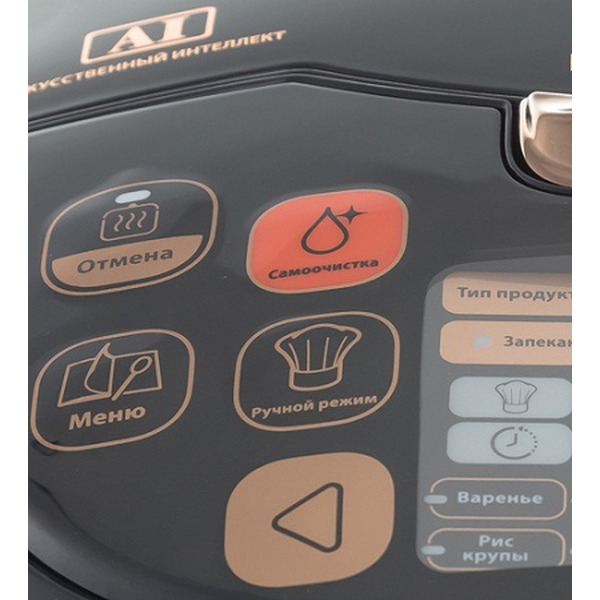 Мультиварка Tefal RK901F32