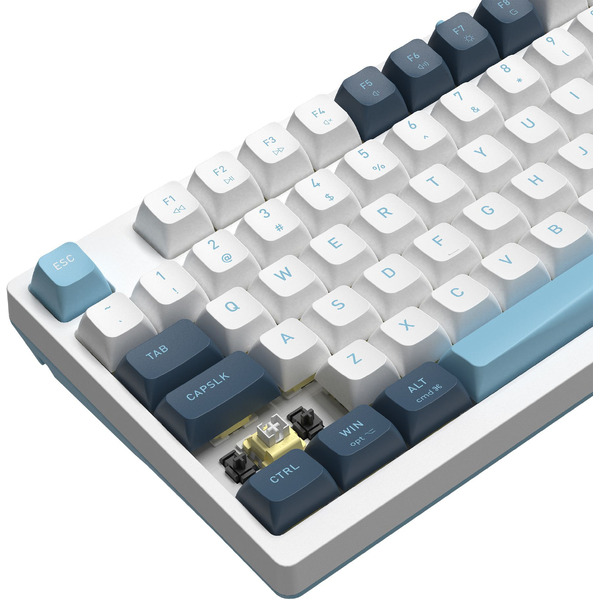 Клавиатура A4Tech Fstyler FS300 Panda Snowboarding