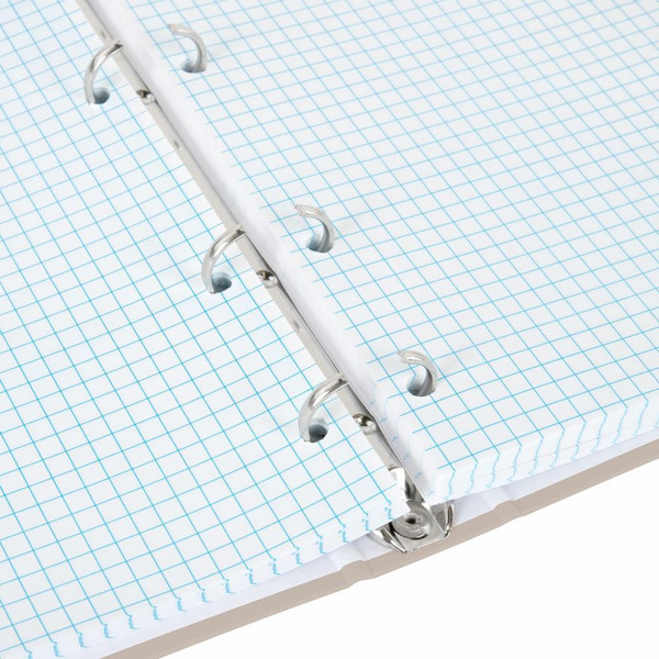 Тетрадь BRAUBERG 404997 на кольцах А5 175х215мм, 120л, твердый картон, клетка