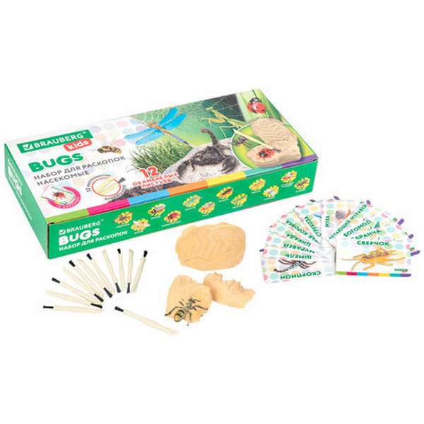 Набор для раскопок BRAUBERG Насекомые 665127