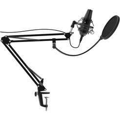 Микрофон Ritmix RDM-180