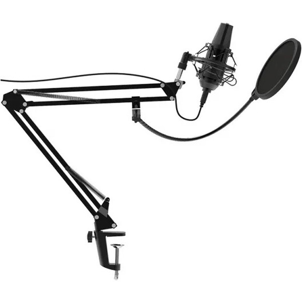 Микрофон Ritmix RDM-180