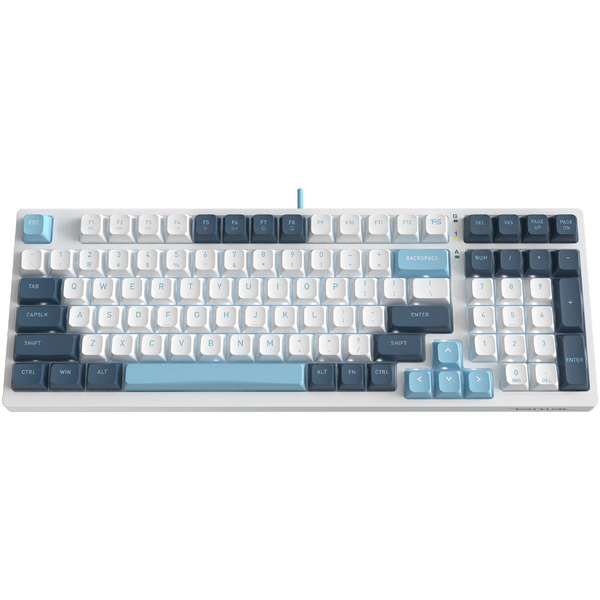 Клавиатура A4Tech Fstyler FS300 Panda Snowboarding