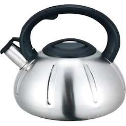 Чайник со свистком ASTIAT AST-1025