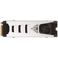 SSD Patriot Viper PV553 4TB PV553P4TBM28H