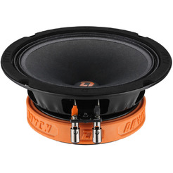 Акустическая система DL Audio Raven 165