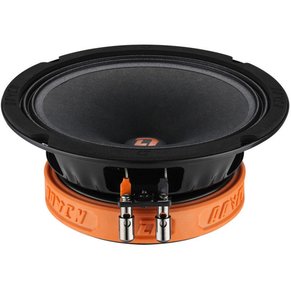 Акустическая система DL Audio Raven 165