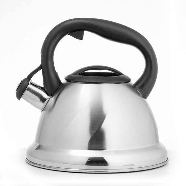 Чайник LARA LR00-55