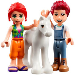 Конструктор LEGO Friends 41696 Конюшня для мытья пони