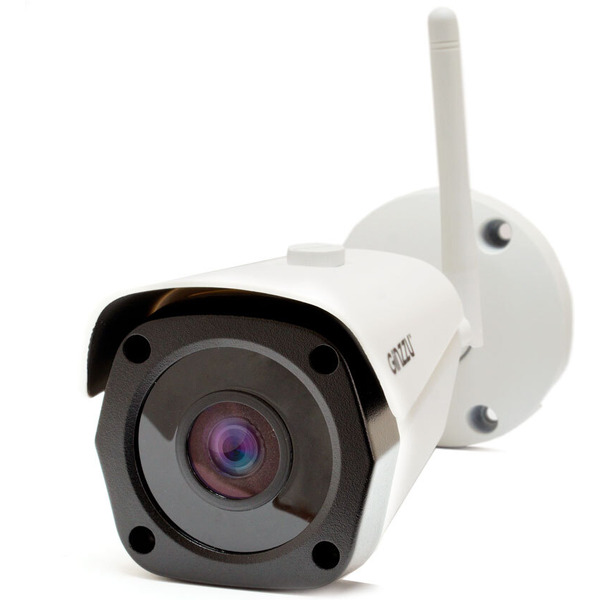 IP-камера Ginzzu HWB-5301A