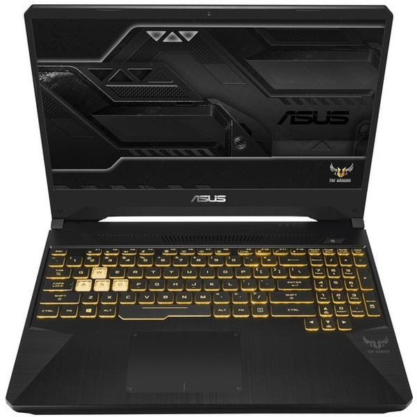 Ноутбук Asus FX705GM-EV020