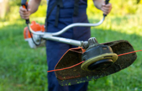 Лучшие бензиновые триммеры