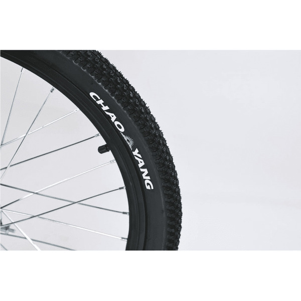 Электровелосипед SMARTBALANCE Corsa 20 (черный)