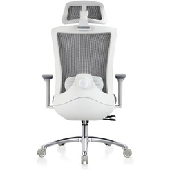 Кресло компьютерное EVOLUTION ERGO PRIME Grey