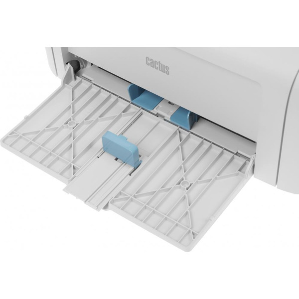 Принтер CACTUS CS-LP1120NWW