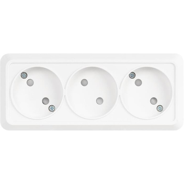 Розетка TDM Ладога SQ1801-0125 (белый)
