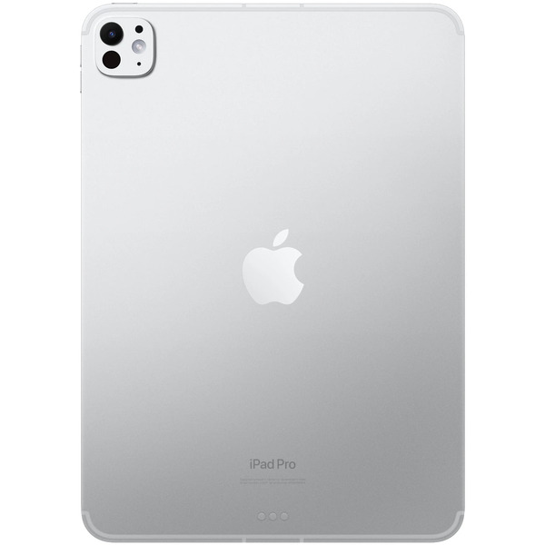 Планшет Apple iPad Pro 11 2024 Wi-Fi A2836 8GB/256GB Silver + Адаптер питания
