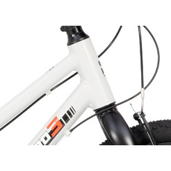 Велосипед детский Maxiscoo 3BIKE 20'' L Серый (2025) MSC-M3-2003