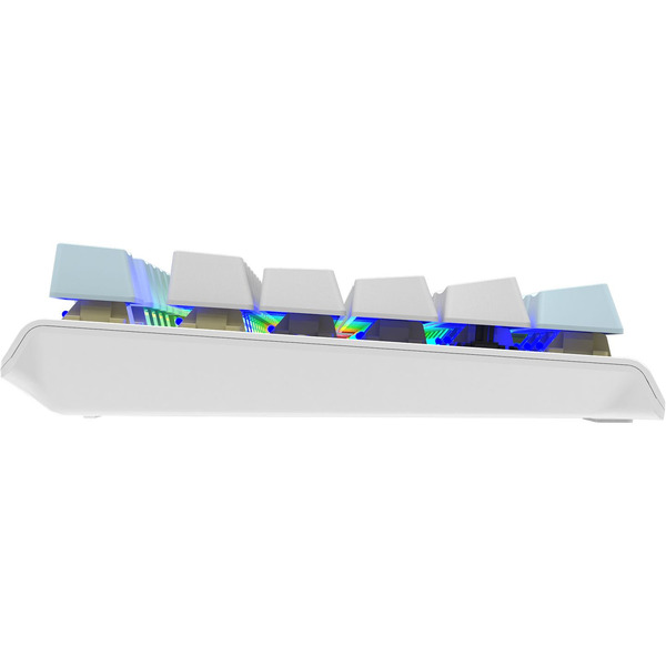 Клавиатура A4Tech Fstyler FS100 Neon (серебристый/голубой)