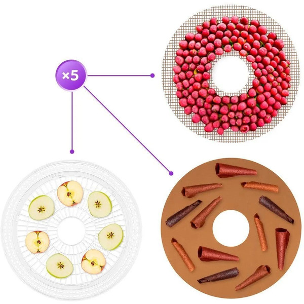 Сушилка для овощей и фруктов Kitfort КТ-1996