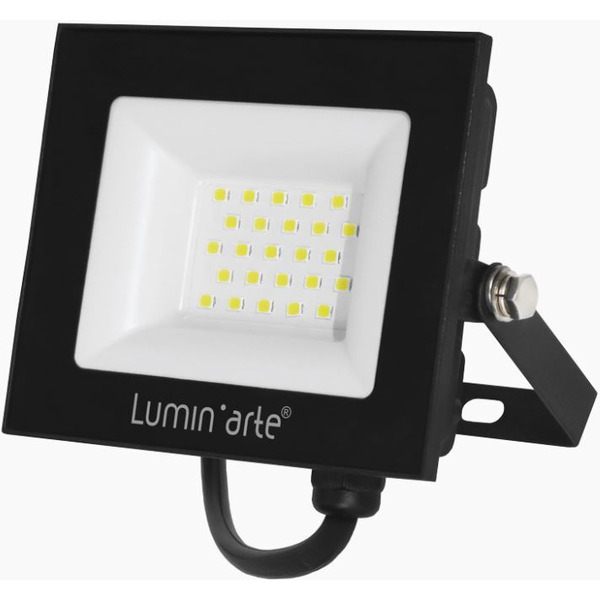 Прожектор Luminarte LFL-30W/06