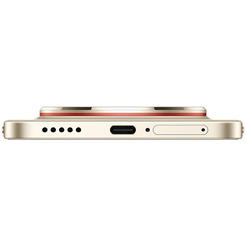 Смартфон HUAWEI nova 15 Max 8GB/256GB CHZ-LX1 (золотистый)
