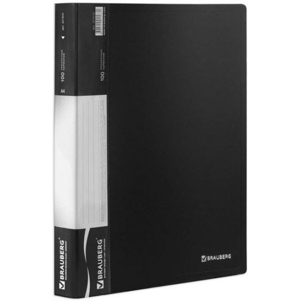 Папка на 100 файлов BRAUBERG 221610
