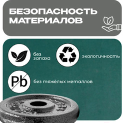 Набор чугунных дисков Proiron НЧД2100 (2 х 10 кг)