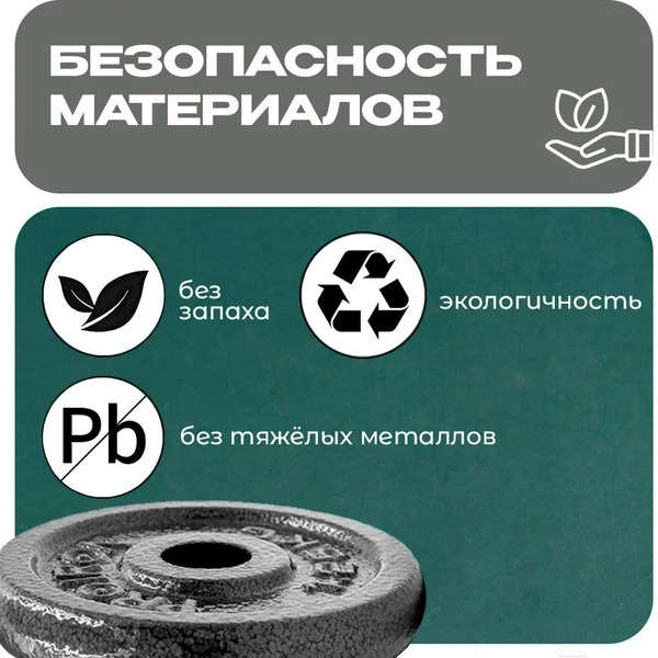 Набор чугунных дисков Proiron НЧД2100 (2 х 10 кг)