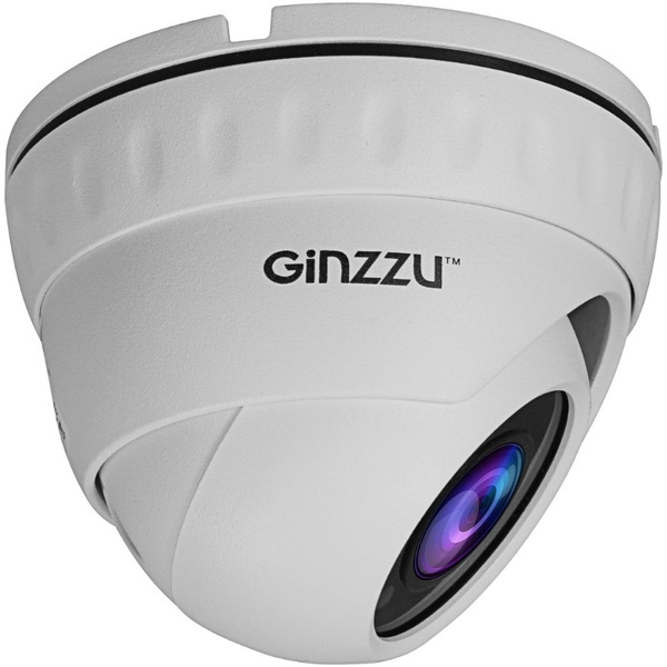 IP-камера Ginzzu HID-2032S