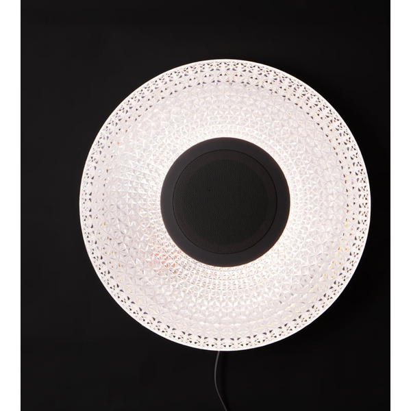 Светильник настенно-потолочный REXANT 624-001 Сатори