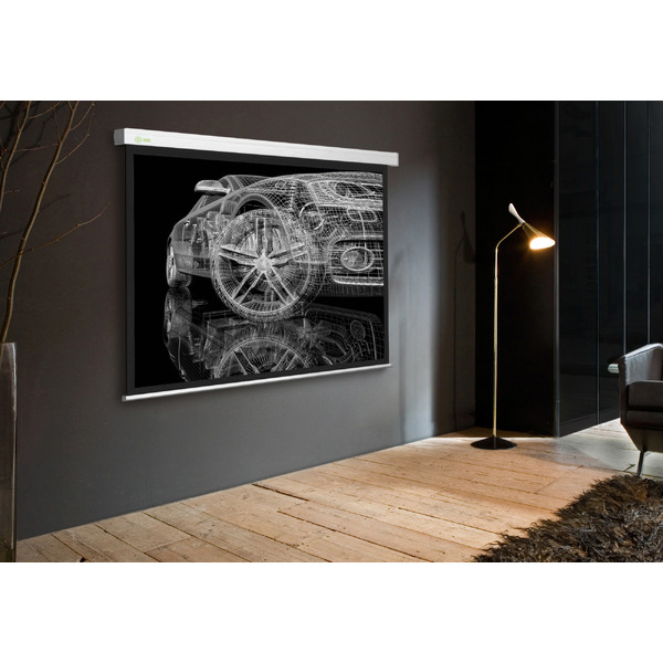 Экран Cactus CS-PSW-213X213