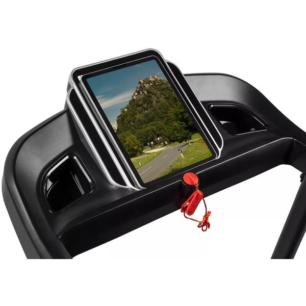 Беговая дорожка Alpin Glace T-176