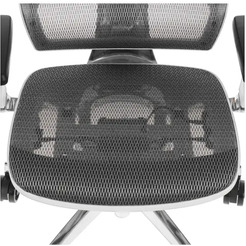 Офисное кресло Thermaltake CyberChair E500 GGC-EG5-BWLFDM-01 (серый)