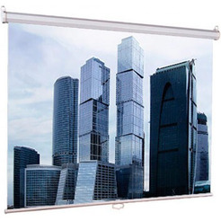 Экран Lumien LEP-100105