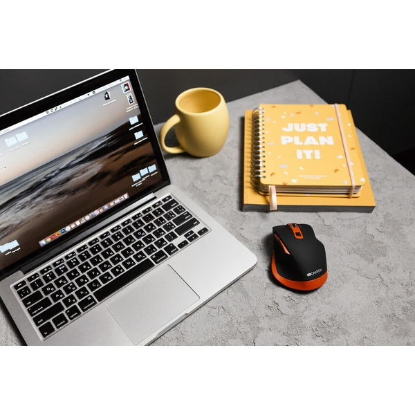 Мышь Canyon CNS-CMSW14BO