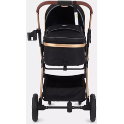 Детская универсальная коляска Rant Basic Pulsar Gold 2 в 1 RA160 (черный)