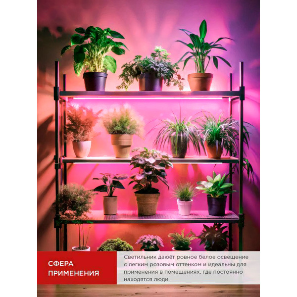 Светильник INhome СПБ-Т5 PRO-ФИТО 4690612055428