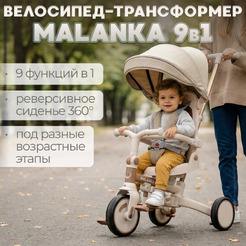 Детский велосипед Bubago Malanka BG 211-2 (коричневый)
