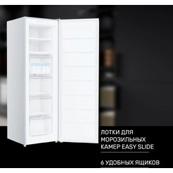 Морозильник TECHNO FN1-24