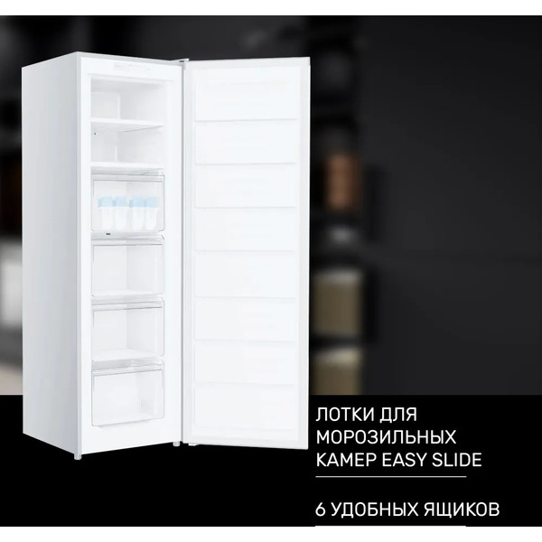 Морозильник TECHNO FN1-24