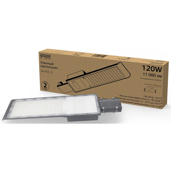 Светильник консольный Gauss 629536320