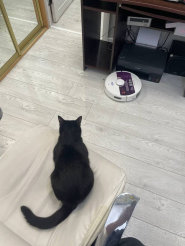 Робот-пылесос Polaris PVCRDC G2 6002 Wi-Fi IQ Home