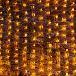 Гирлянда Neon-Night Сеть 215-026