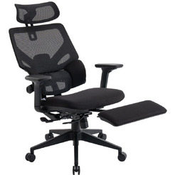 Кресло компьютерное EVOLUTION LumbarPro FR